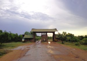 Yala National park