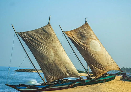 Negombo golden beaches