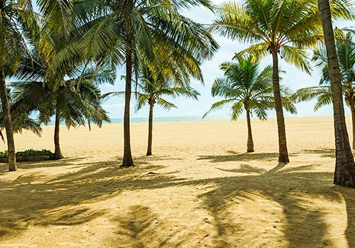 Negombo golden beaches