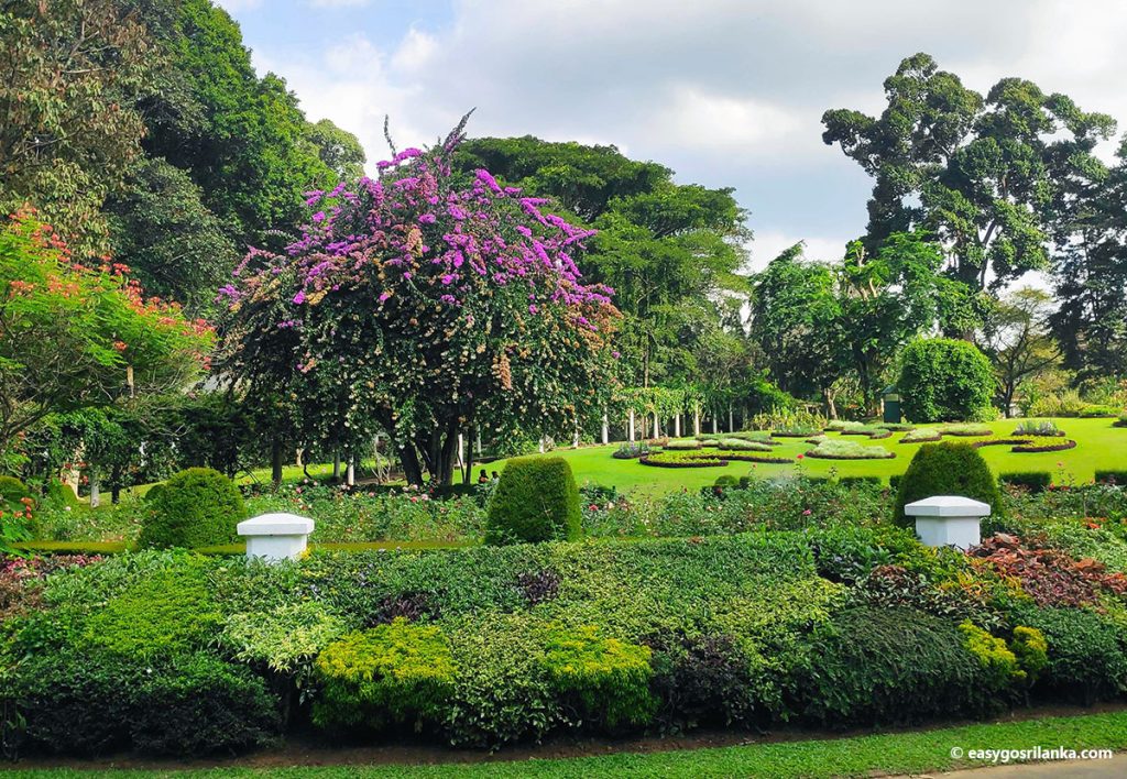 Peradeniya Botanical Garden