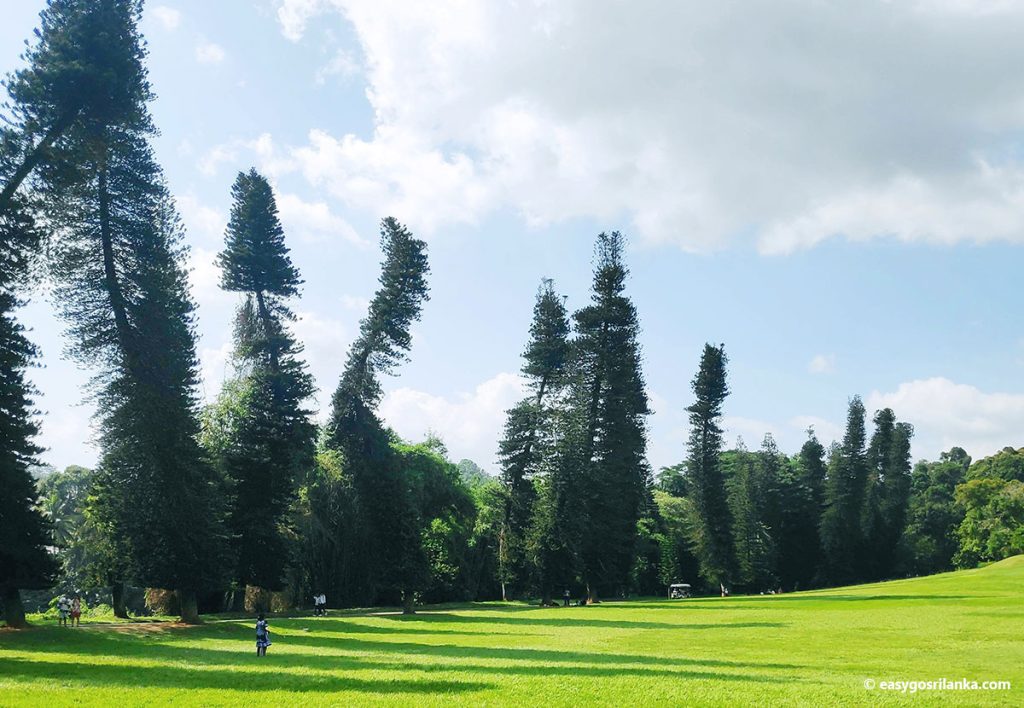 Peradeniya Botanical Garden