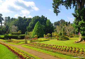 Peradeniya Botanical Garden