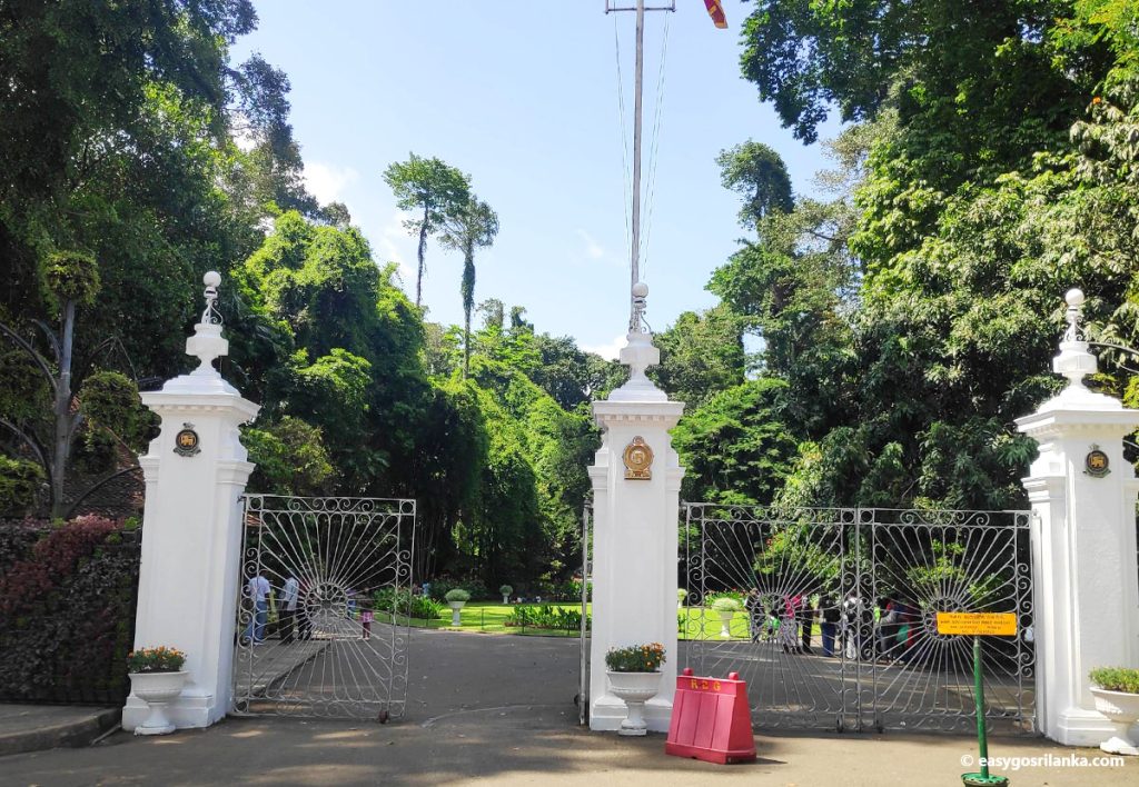 Peradeniya Botanical Garden