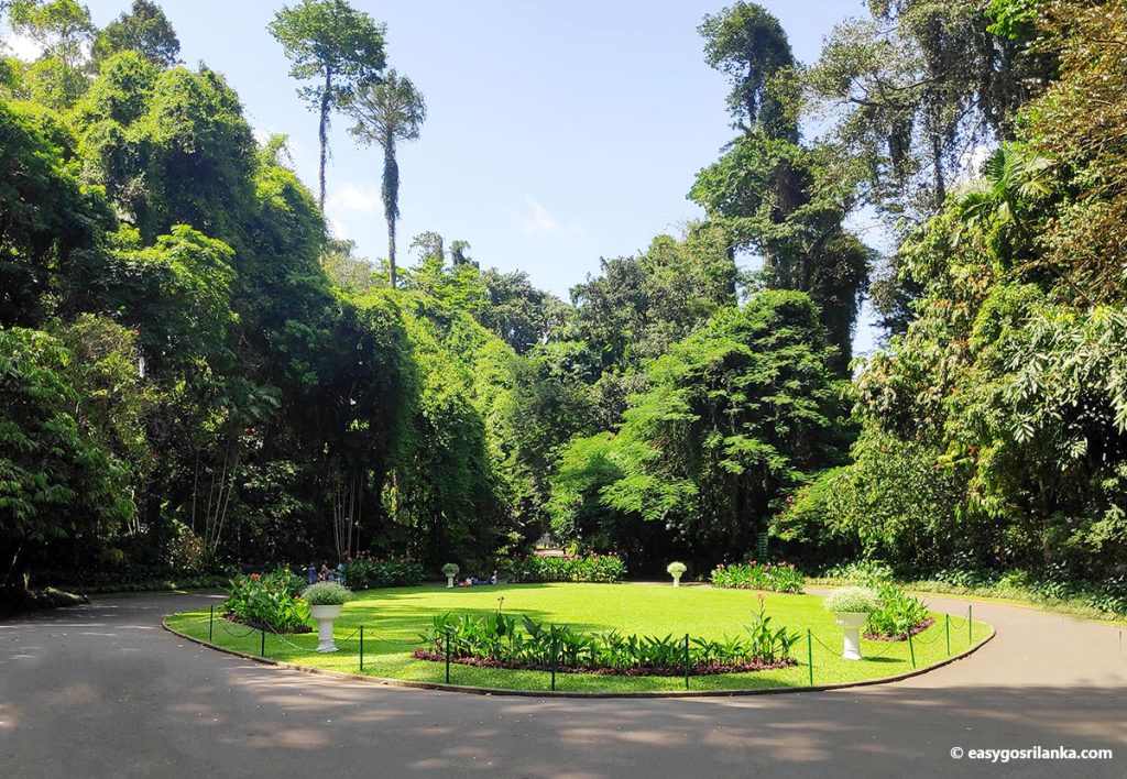 Peradeniya Botanical Garden