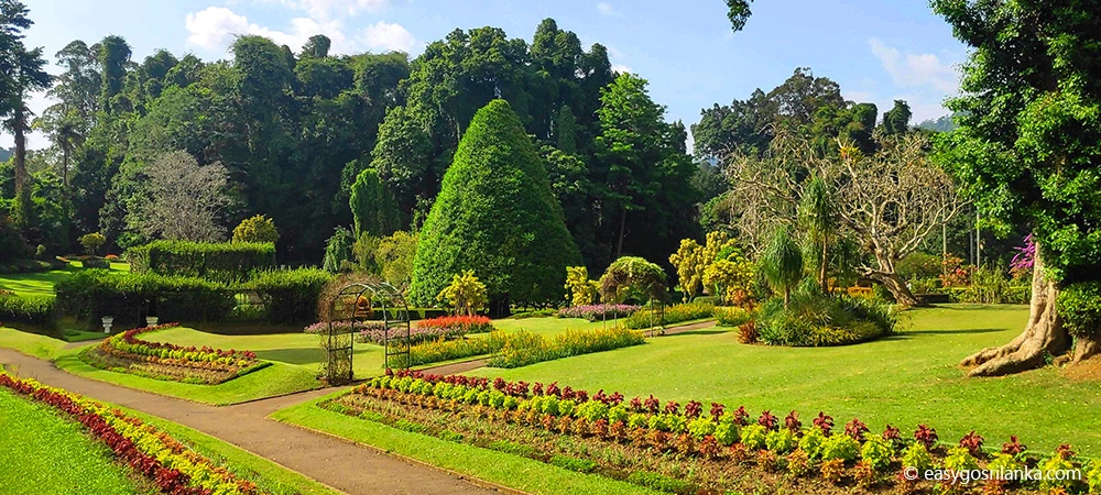 Royal Botanical Gardens in Peradeniya