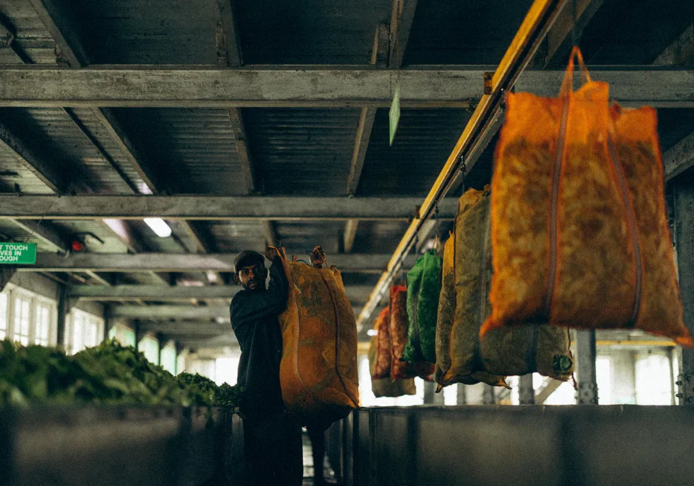 Sri Lankan tea factory