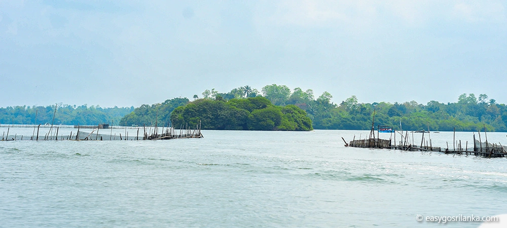 Madu River