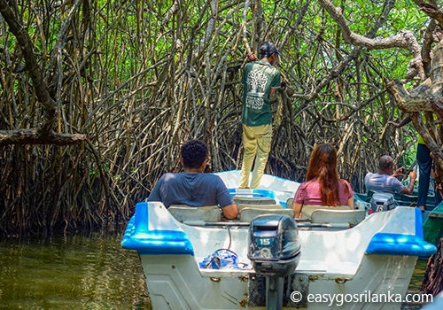 boat safari on the Madu River