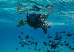 snorkeling