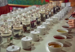 tasting at a scenic Sri Lankan tea factory