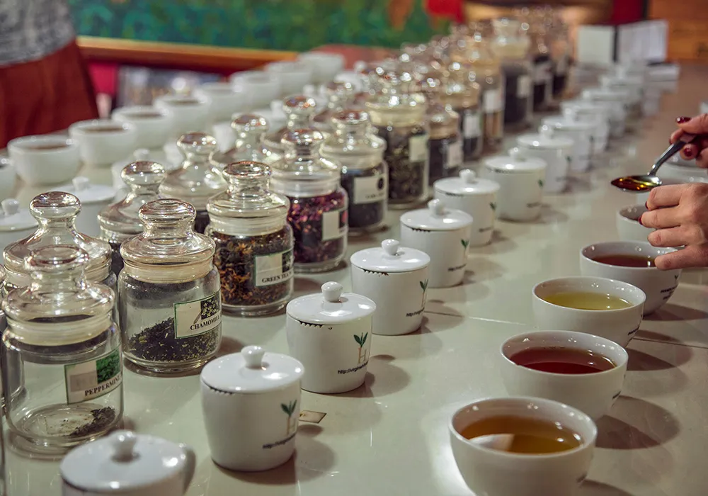 tasting at a scenic Sri Lankan tea factory