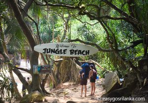 Jungle beach