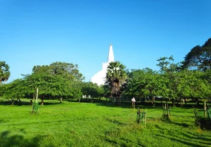 Ruwanwalisaya 
