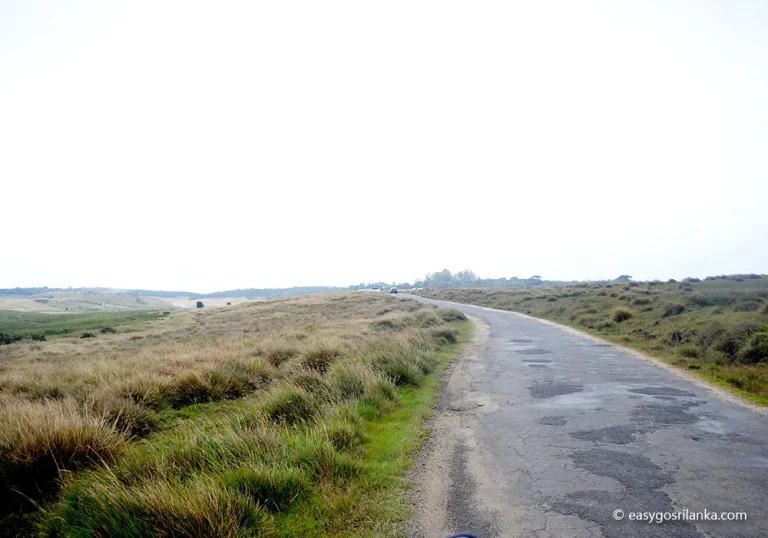 horton plains national park