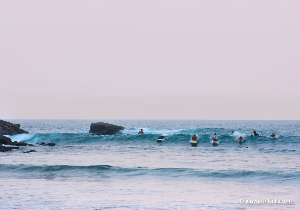 Mirissa Beach and enjoy the surfing