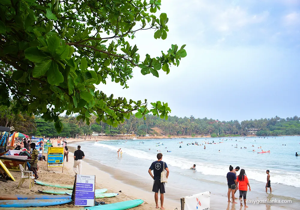 Mirissa Beach 