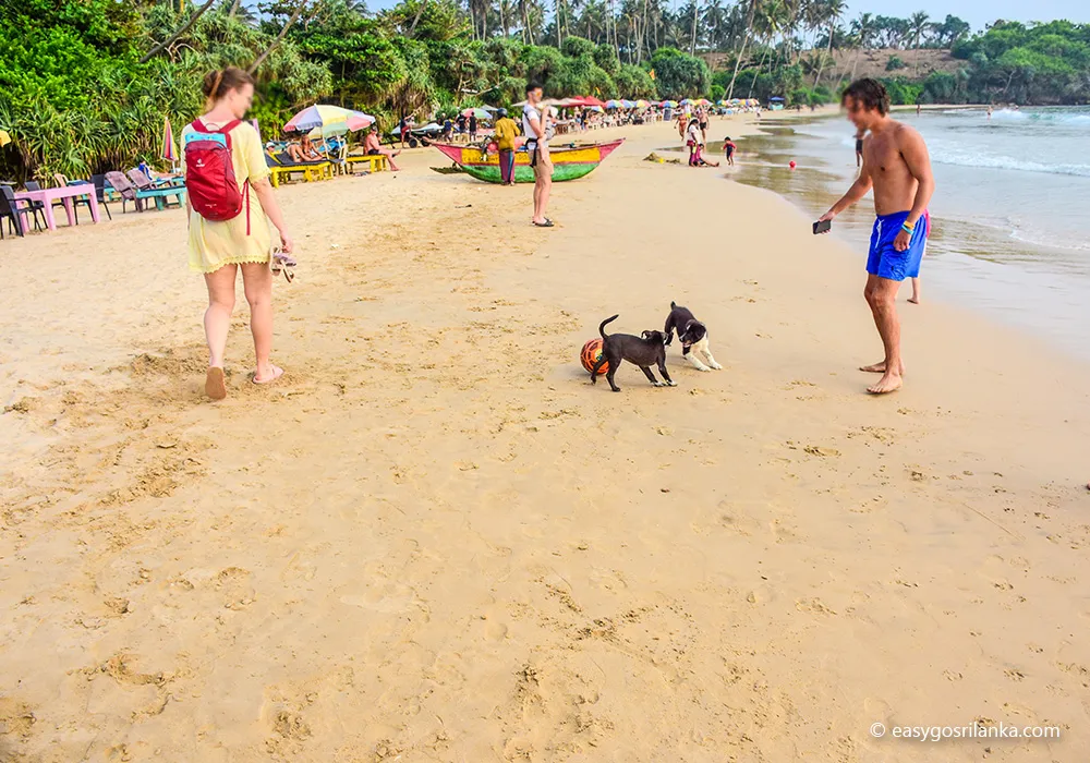 Dickwella Beach