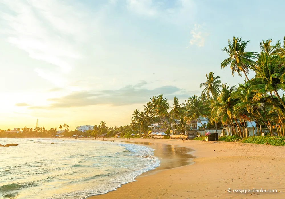 Experience beautiful sunsets over the ocean. Mirissa