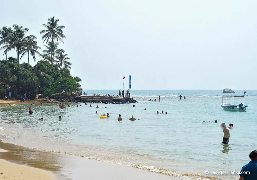 Experience snorkeling and scuba diving