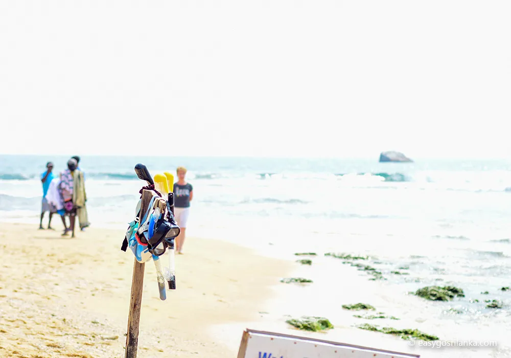 Experience snorkeling and scuba diving