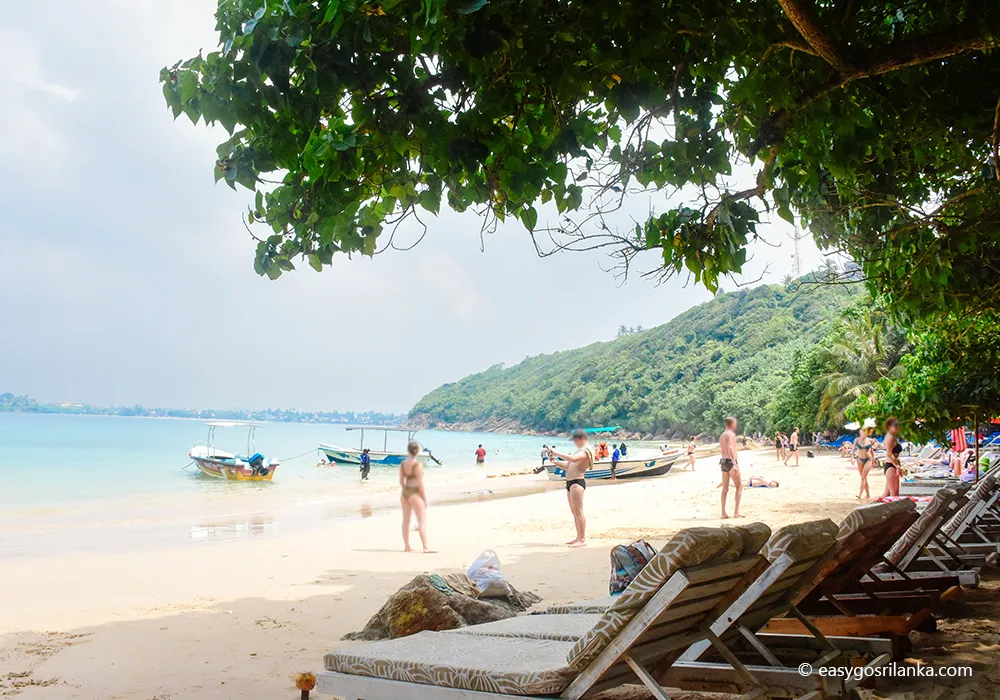 Jungle Beach, Relaxing in nature