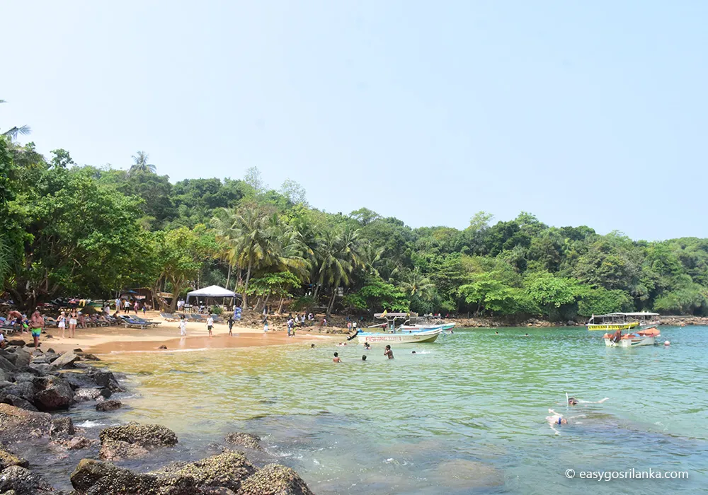Jungle Beach, Snorkeling