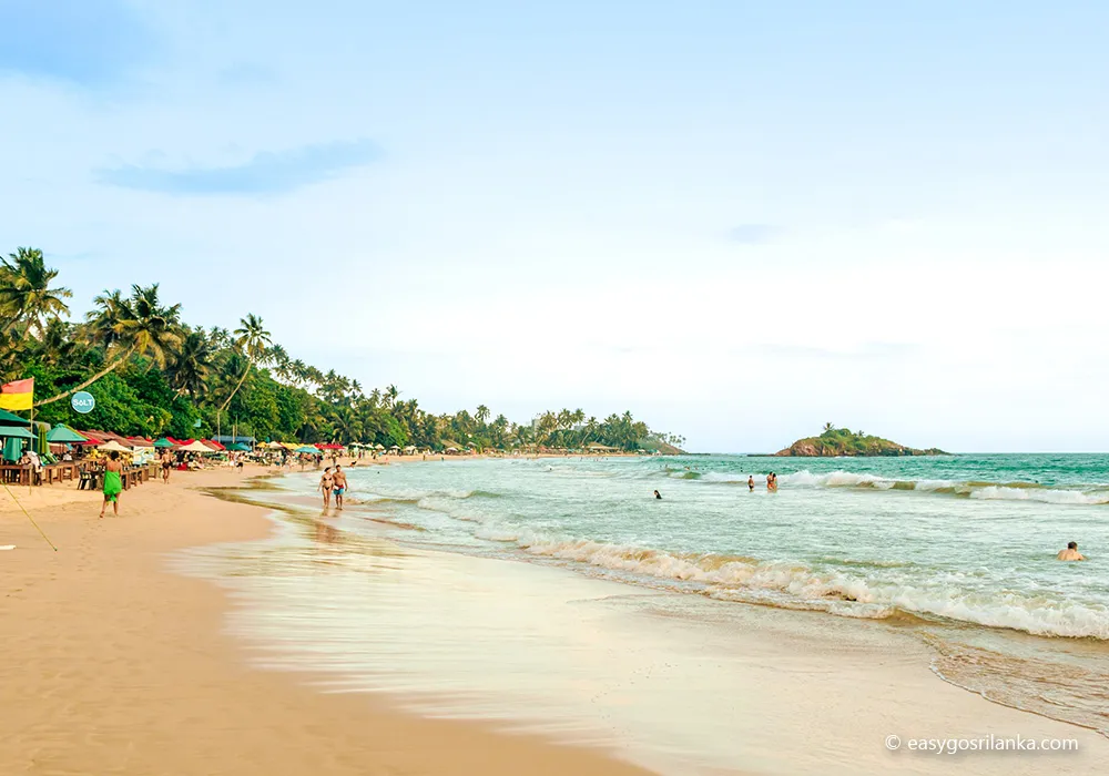 Relax on tropical golden beaches Mirissa