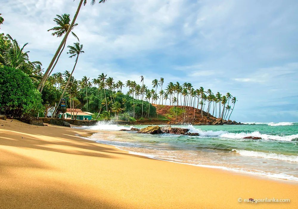 Relax on tropical golden beaches Mirissa