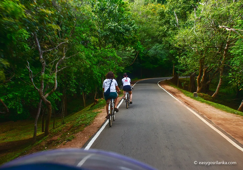 Sigiriya, Village Safari Experience