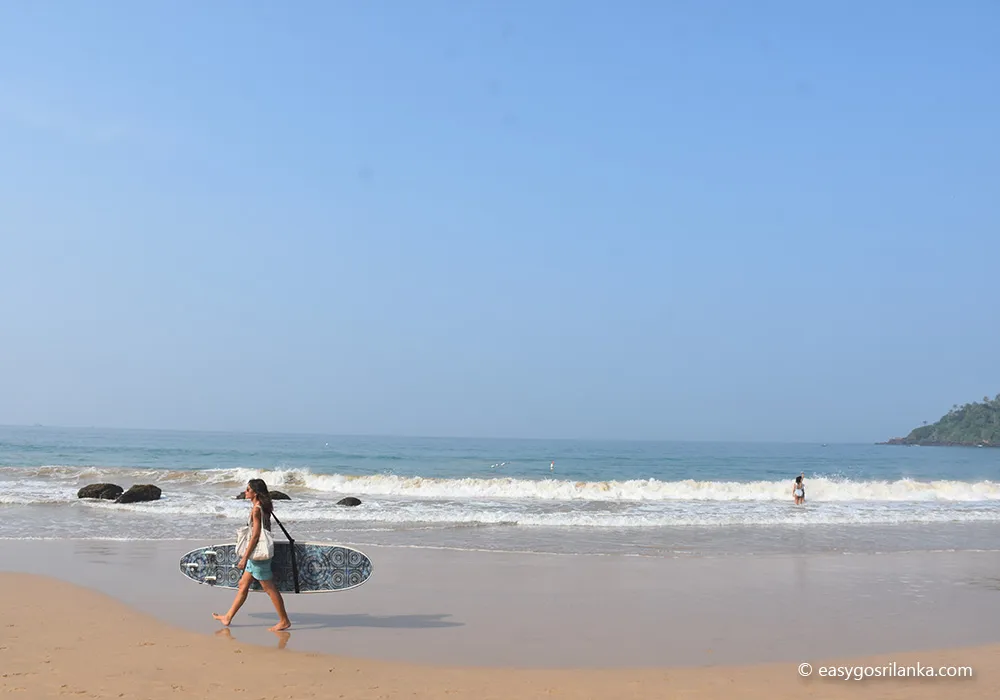 Learn surfing or enjoy beginner waves