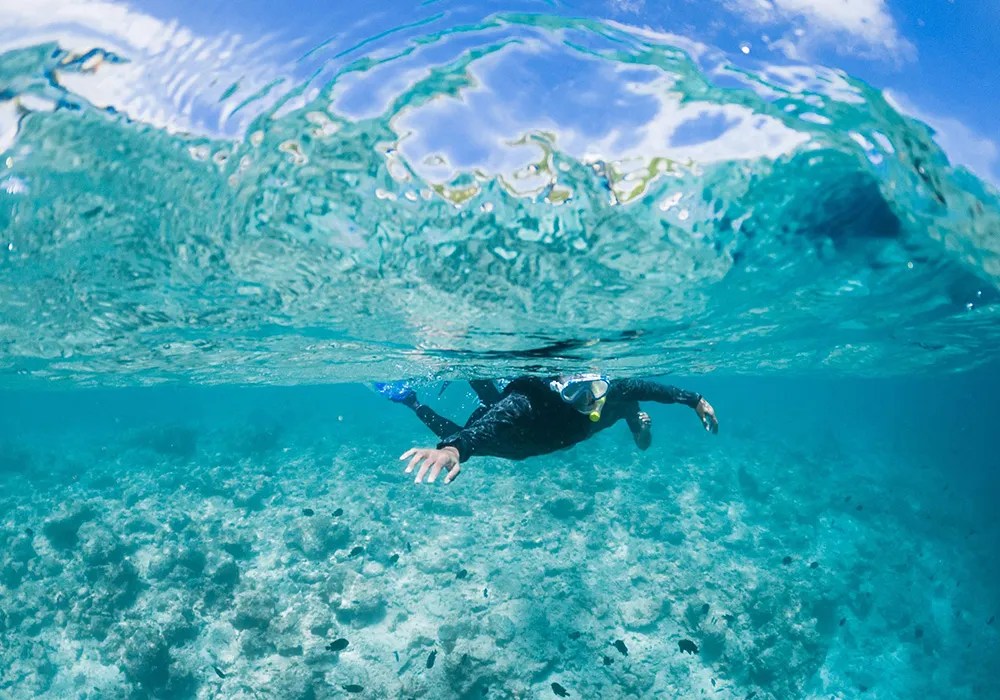A snorkeler exploring the vibrant marine life