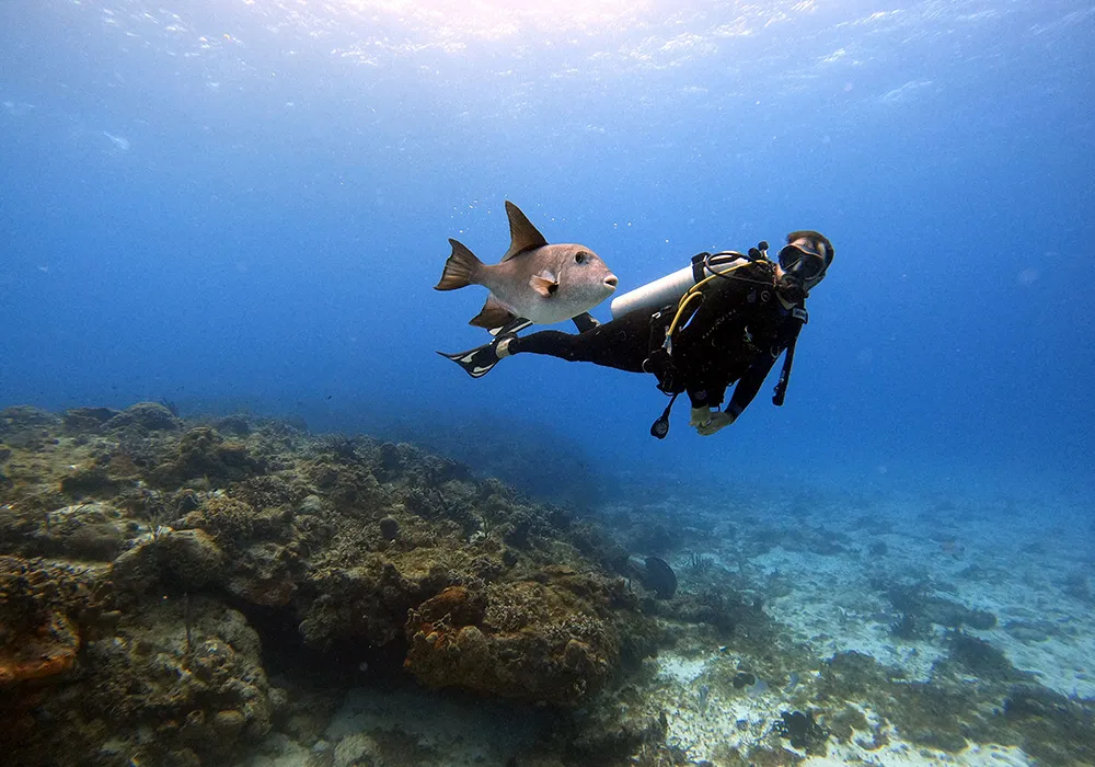 A scuba diver swims with a fish near a vibrant coral reef