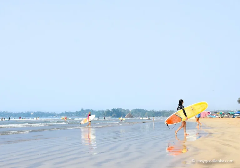 Learn surfing in one of Sri Lanka’s best beginner locations