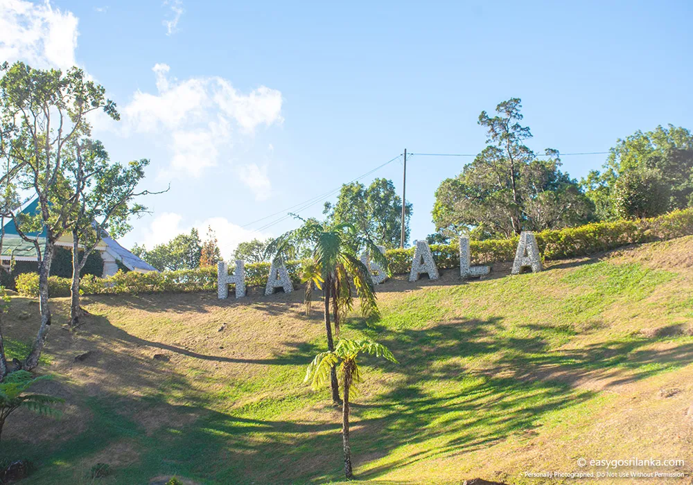 Hakgala Botanical Garden