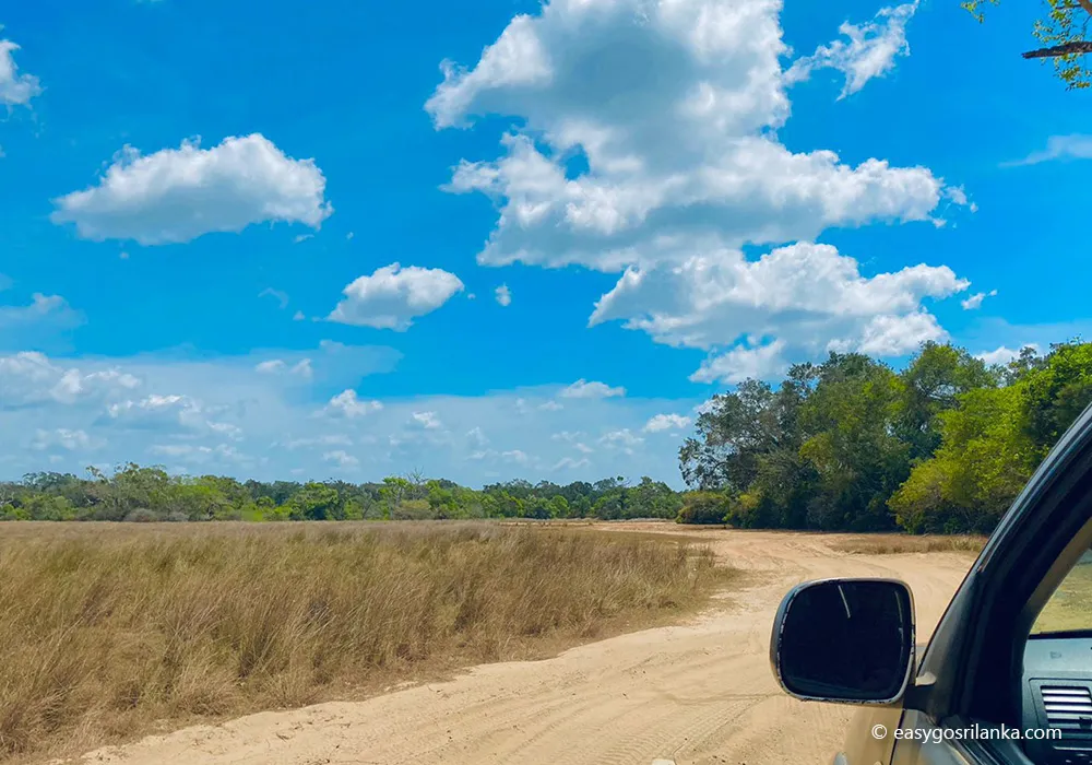 Wilpattu National Park, Jeep safaris