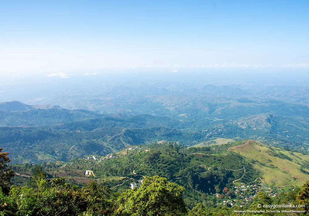 Enjoy cool mountain weather and peaceful surroundings