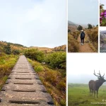 Horton Plains Trek: World’s End & Highland Trails in Sri Lanka