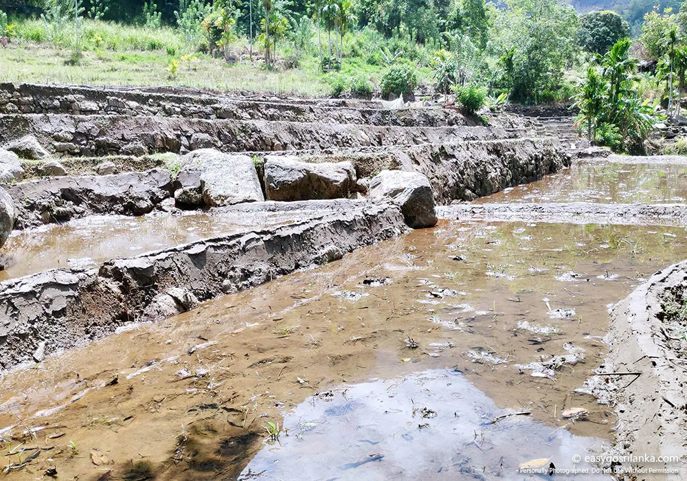 Learn about traditional farming practices