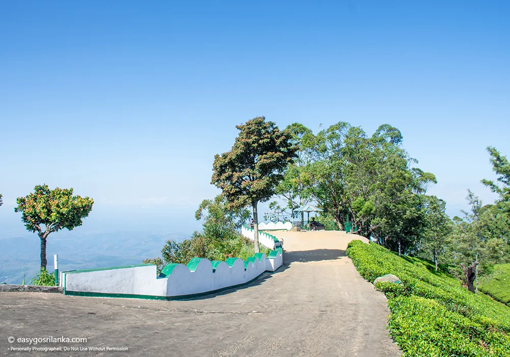Lipton's Seat Viewpoint