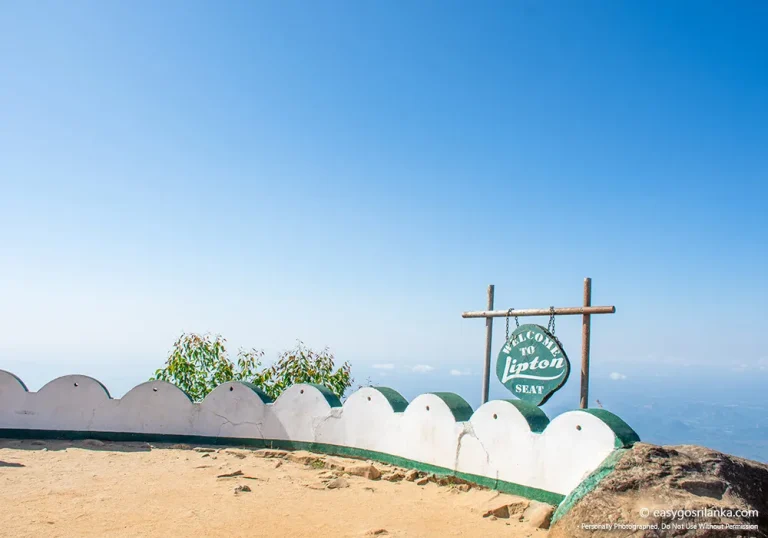 Lipton's Seat Viewpoint
