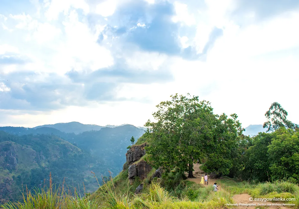 Little Adam's Peak Summit