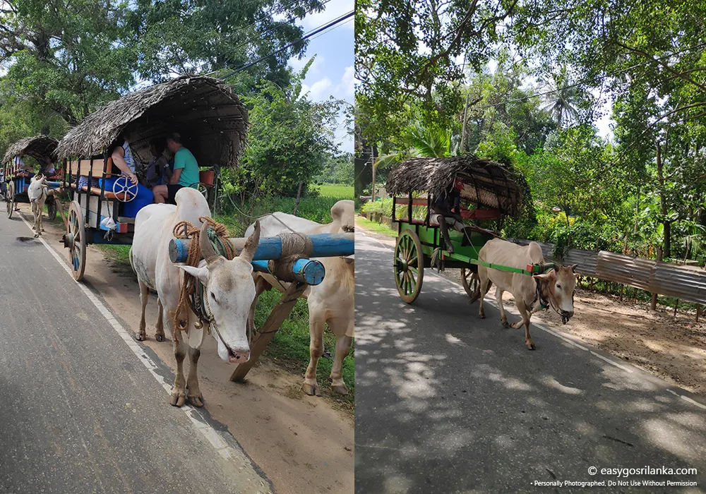 Sigiriya Village tour
