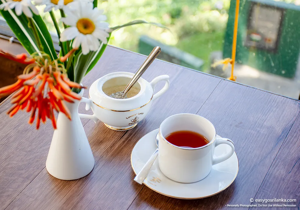 Enjoy a Ceylon tea tasting experience