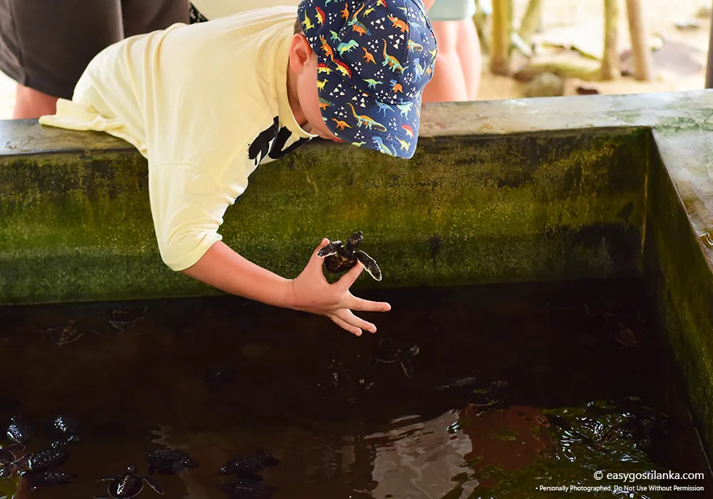 Enjoy an educational experience for the whole family.