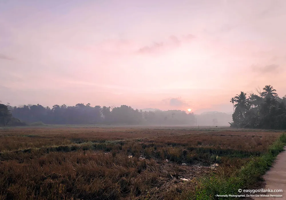 Walk through peaceful village landscapes.