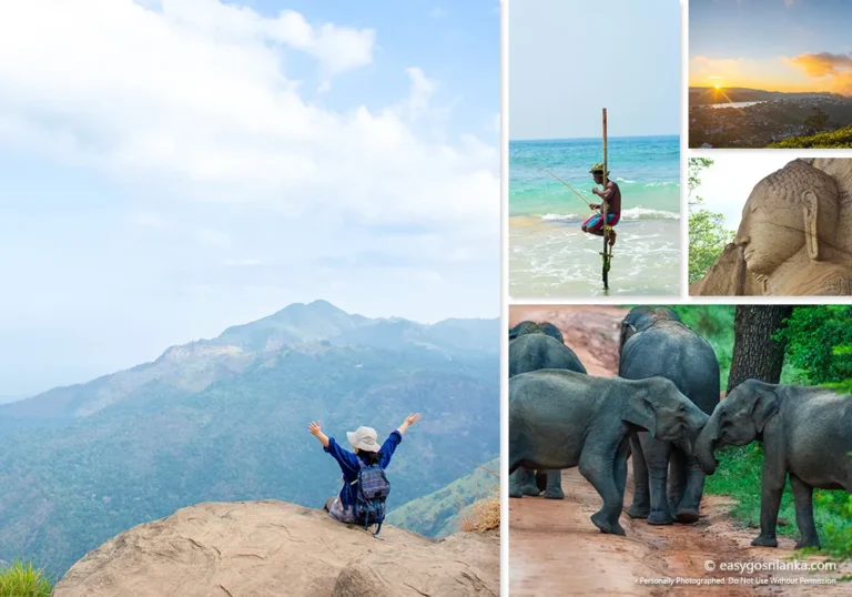 Scenic Photography Tours in Sri Lanka: Capture the Island's Beauty
